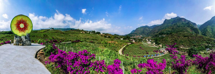 六盤水市水城區:&ldquo;五型&rdquo;村居固成果 鄉村振興開新局