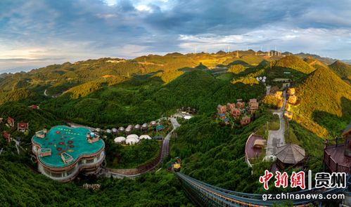 貴州六盤水 避暑游再開 涼 方 游客高山露營(yíng)享清涼