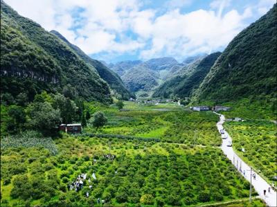 六盤水市產(chǎn)業(yè)轉(zhuǎn)型升級(jí)示范區(qū)2項(xiàng)經(jīng)驗(yàn)在全國(guó)推廣并獲通報(bào)表揚(yáng)