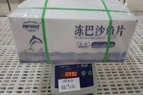 天津港進(jìn)口冷凍蝦門到門清關(guān)服務(wù)公司